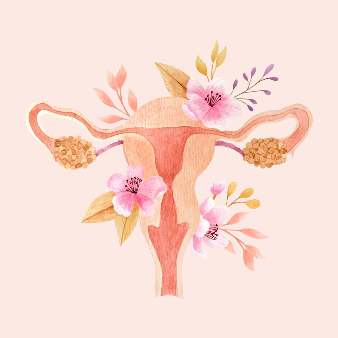 Fibromat e mitrës (miomat): Shkaqet, simptomat, trajtimi dhe ndikimi në fertilitet