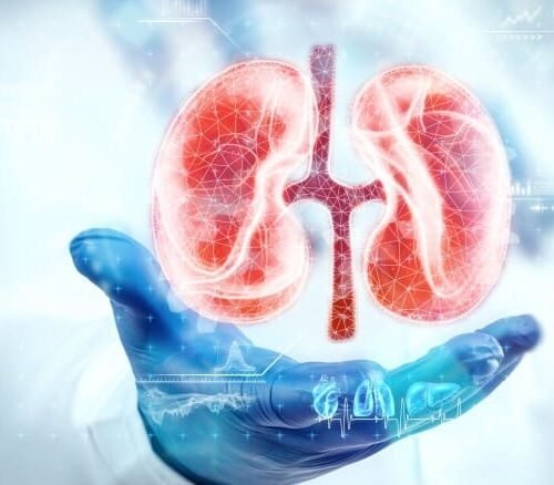 Nephrology Nefrologji