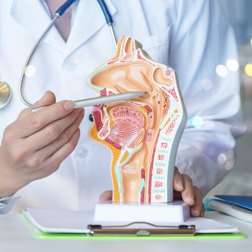 The doctor shows the problem areas of the mucous membranes . ORL