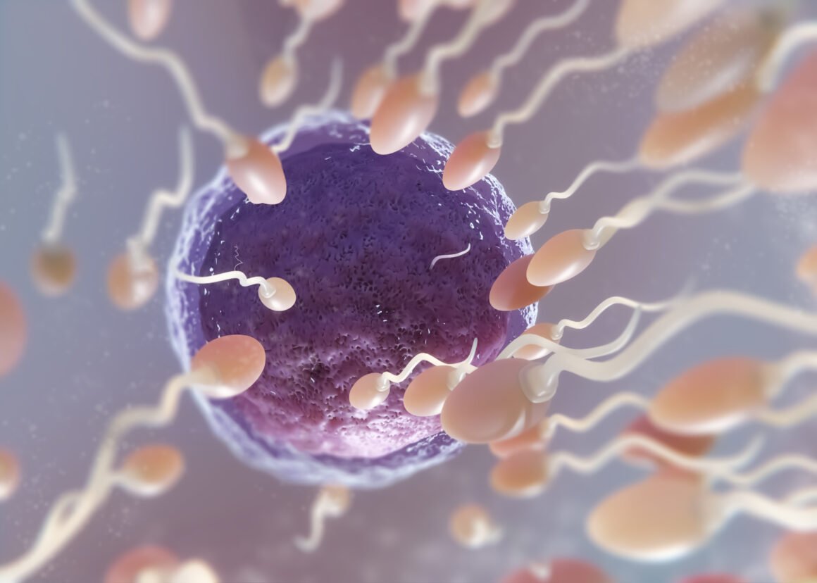 Pse IVF mund të dështojë edhe kur embrionet janë të mira?