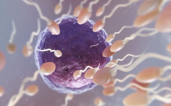 Pse IVF mund të dështojë edhe kur embrionet janë të mira?