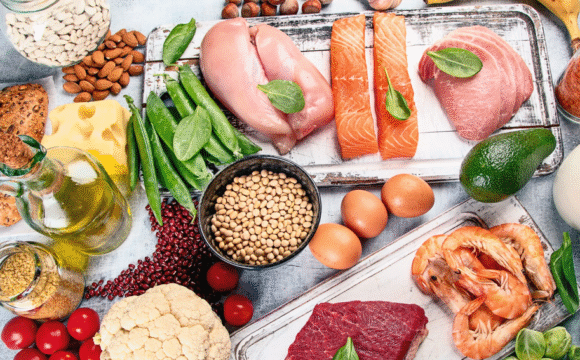 Nutricion