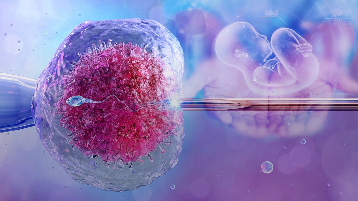 ivf Fekondim In-Vitro (IVF)